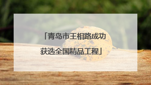 青岛市王相路成功获选全国精品工程