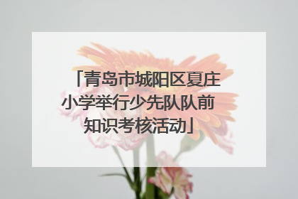青岛市城阳区夏庄小学举行少先队队前知识考核活动
