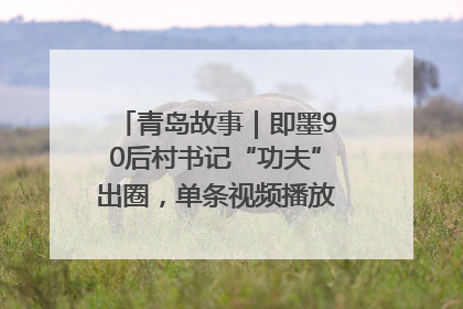 青岛故事｜即墨90后村书记“功夫”出圈，单条视频播放量过600万