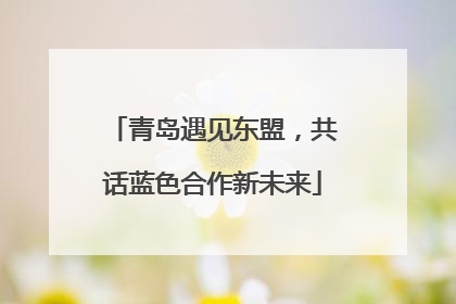 青岛遇见东盟，共话蓝色合作新未来