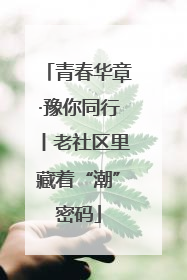 青春华章·豫你同行丨老社区里藏着“潮”密码