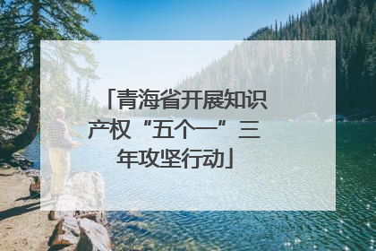 青海省开展知识产权“五个一”三年攻坚行动