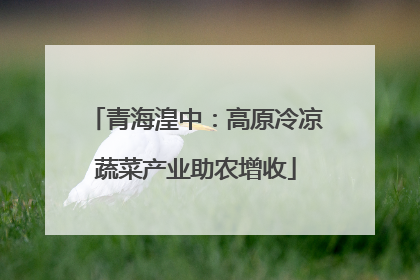 青海湟中：高原冷凉蔬菜产业助农增收