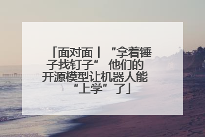 面对面丨“拿着锤子找钉子” 他们的开源模型让机器人能“上学”了
