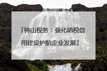 钟山税务：强化纳税信用建设护航企业发展