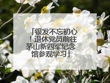 银发不忘初心！退休党员前往茅山新四军纪念馆参观学习