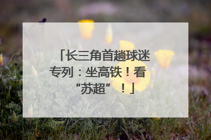 长三角首趟球迷专列：坐高铁！看“苏超”！