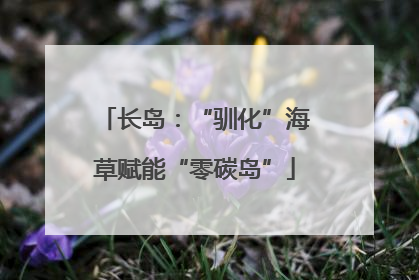 长岛：“驯化”海草赋能“零碳岛”