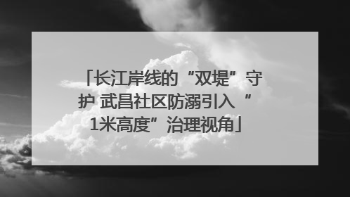长江岸线的“双堤”守护 武昌社区防溺引入“1米高度”治理视角