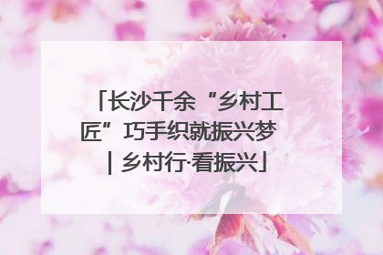 长沙千余“乡村工匠”巧手织就振兴梦｜乡村行·看振兴