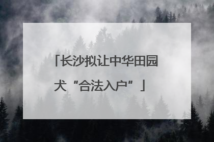 长沙拟让中华田园犬“合法入户”