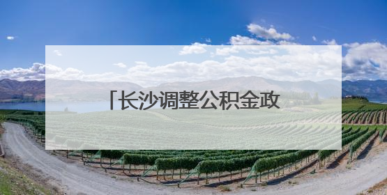 长沙调整公积金政策，二孩家庭最高可贷款96万元