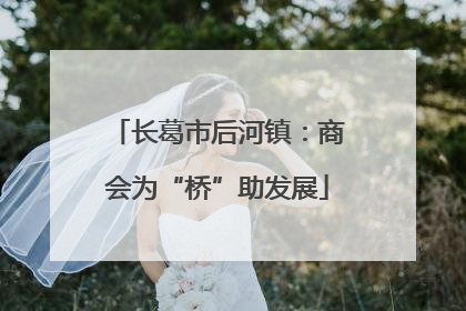 长葛市后河镇：商会为“桥”助发展