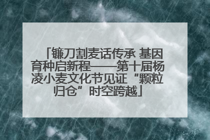 镰刀割麦话传承 基因育种启新程——第十届杨凌小麦文化节见证“颗粒归仓”时空跨越