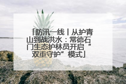 防汛一线丨从护青山到战洪水：常德石门生态护林员开启“双重守护”模式