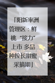 阳新率洲管理区：鲜桃“接力”上市 多品种拉长甜蜜采摘期