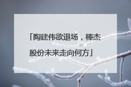 陶建伟欲退场，棒杰股份未来走向何方
