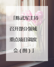 陈武军主持召开部分领域重点项目调度会（图）