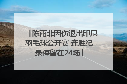 陈雨菲因伤退出印尼羽毛球公开赛 连胜纪录停留在24场