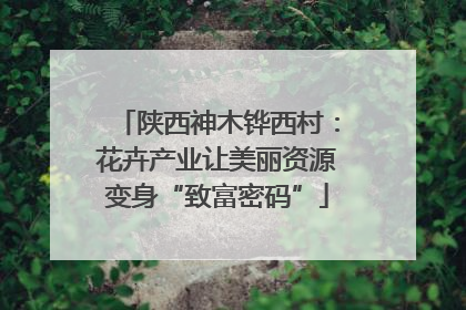 陕西神木铧西村：花卉产业让美丽资源变身“致富密码”
