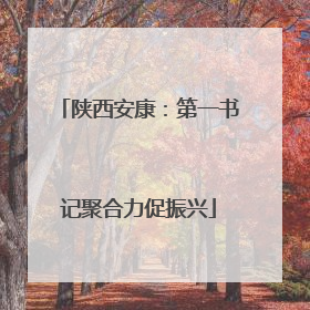 陕西安康：第一书记聚合力促振兴
