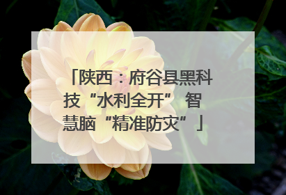 陕西：府谷县黑科技“水利全开” 智慧脑“精准防灾”