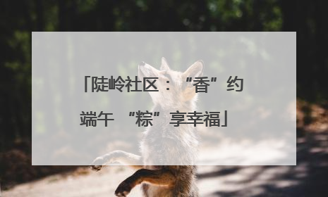 陡岭社区：“香”约端午 “粽”享幸福