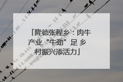 隆德张程乡：肉牛产业“牛劲”足 乡村振兴添活力