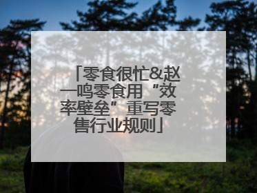 零食很忙&赵一鸣零食用“效率壁垒”重写零售行业规则