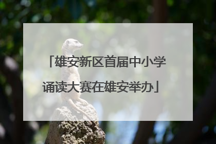 雄安新区首届中小学诵读大赛在雄安举办