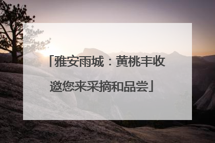 雅安雨城：黄桃丰收 邀您来采摘和品尝