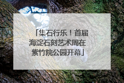 集石行乐！首届海淀石刻艺术周在紫竹院公园开幕