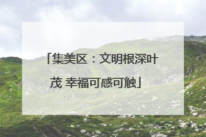 集美区：文明根深叶茂 幸福可感可触