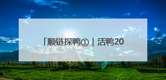 顺链探鸭①｜活鸭20元一斤，街头烤鸭为何却能卖到20多元一只