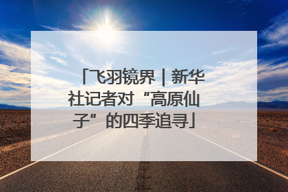 飞羽镜界｜新华社记者对“高原仙子”的四季追寻