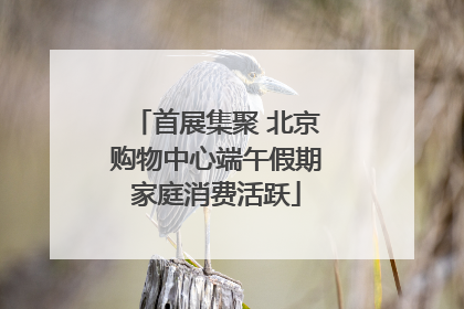 首展集聚 北京购物中心端午假期家庭消费活跃