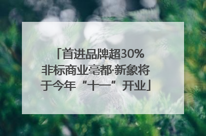 首进品牌超30% 非标商业亳都·新象将于今年“十一”开业