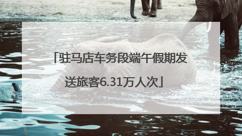 驻马店车务段端午假期发送旅客6.31万人次