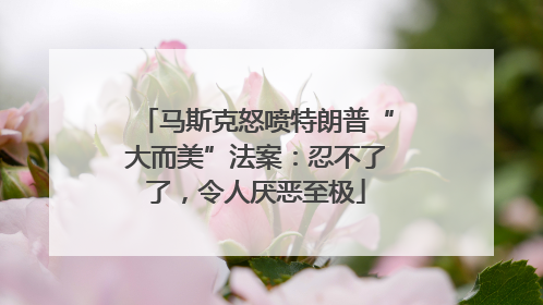 马斯克怒喷特朗普“大而美”法案：忍不了了，令人厌恶至极