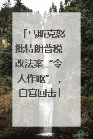 马斯克怒批特朗普税改法案“令人作呕”，白宫回击