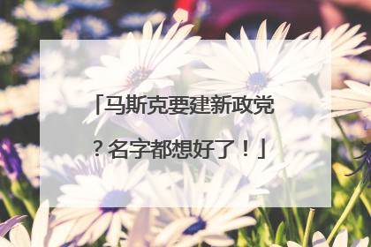 马斯克要建新政党？名字都想好了！