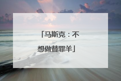 马斯克：不想做替罪羊