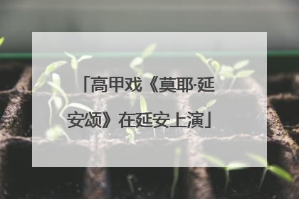 高甲戏《莫耶·延安颂》在延安上演