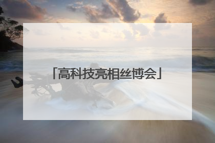 高科技亮相丝博会