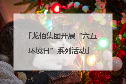 龙佰集团开展“六五环境日”系列活动