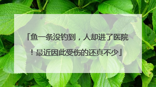 鱼一条没钓到，人却进了医院！最近因此受伤的还真不少