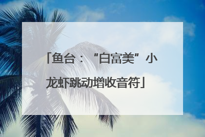 鱼台：“白富美”小龙虾跳动增收音符