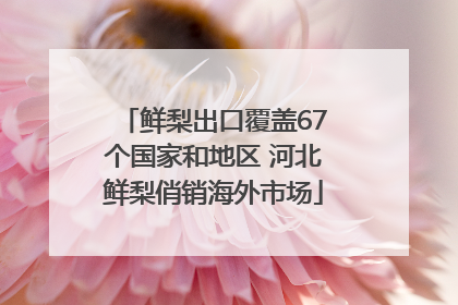 鲜梨出口覆盖67个国家和地区 河北鲜梨俏销海外市场