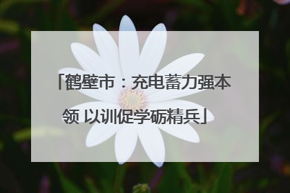 鹤壁市：充电蓄力强本领 以训促学砺精兵