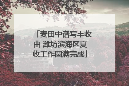 麦田中谱写丰收曲 潍坊滨海区夏收工作圆满完成